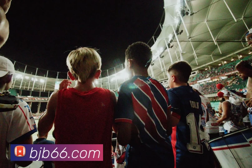 多媒体互动体验